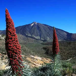 casa-ivonne-san-isidro.in-canary-islands.com/